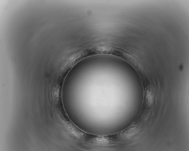X0000089370668200706221223