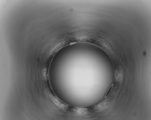 X0000089370670200706221223