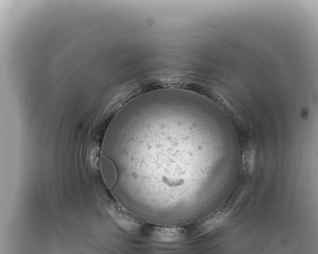 X0000089370671200706221223