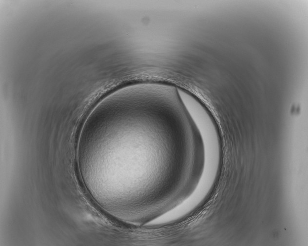 X0000089370673200706221222