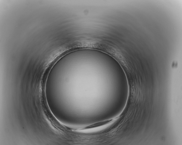 X0000089370674200706221222