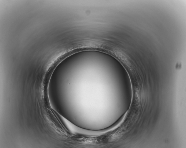 X0000089370676200706221222