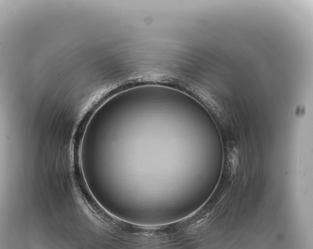 X0000089370678200706221222