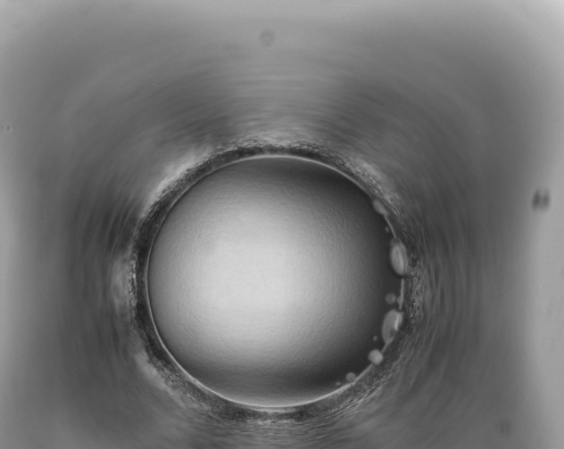 X0000089370680200706221222