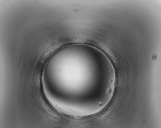 X0000089370681200706221222