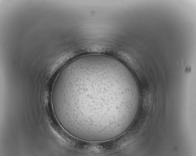 X0000089370683200706221222