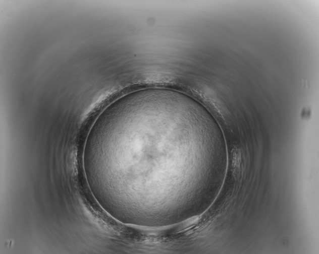 X0000089370684200706221222