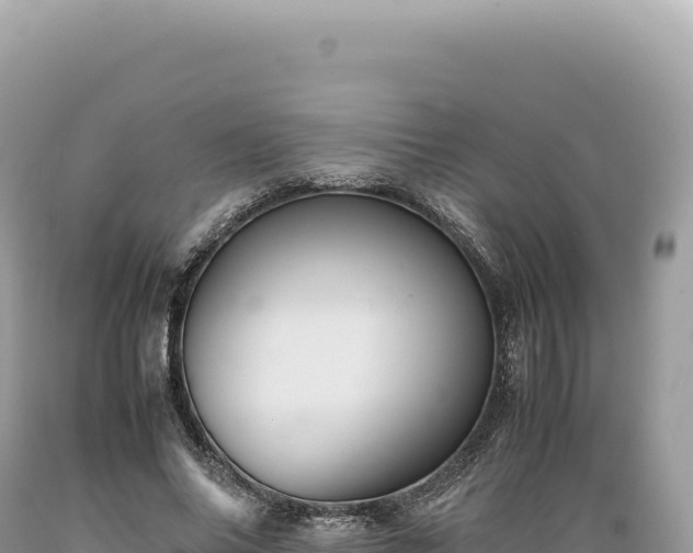 X0000089370686200706221222