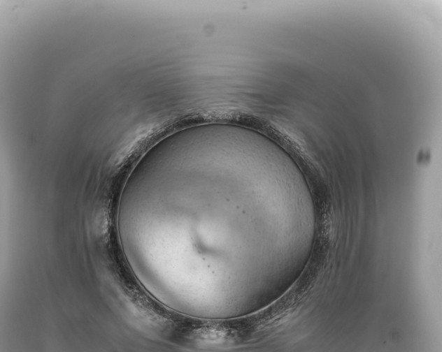 X0000089370687200706221222