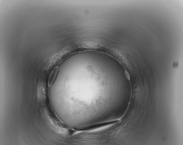 X0000089370688200706221222