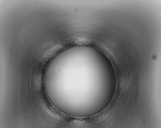 X0000089370690200706221222