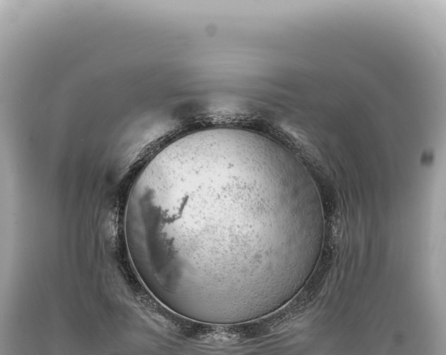 X0000089370691200706221222