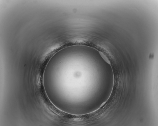 X0000089370692200706221222