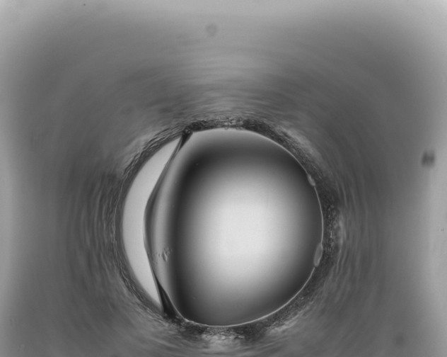 X0000089370693200706221222