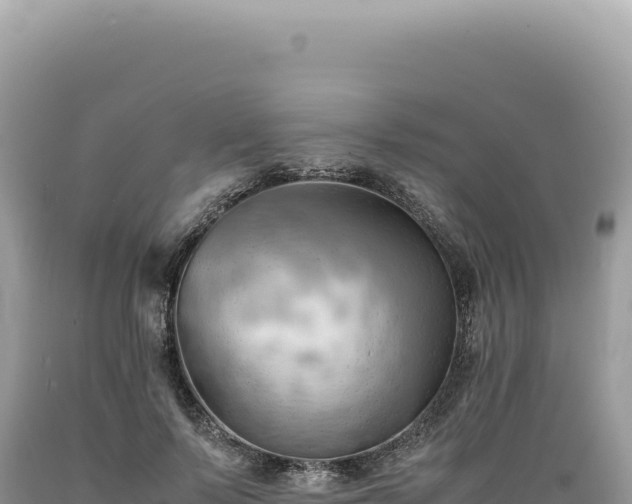 X0000089370695200706221222