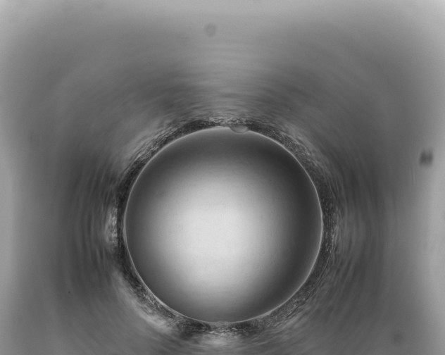 X0000089370696200706221222
