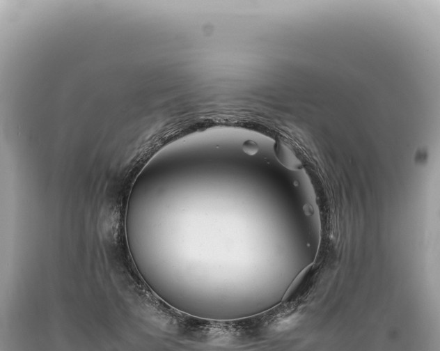 X0000089370697200706221222