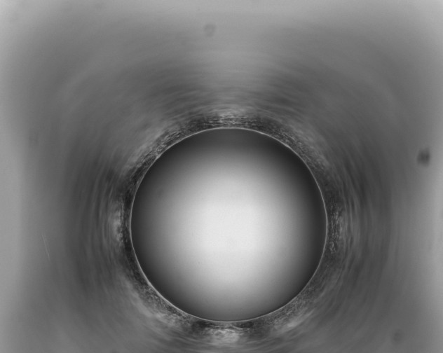 X0000089370698200706221222