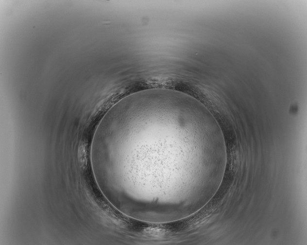 X0000089370699200706221222
