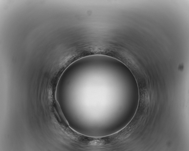 X0000089370700200706221222