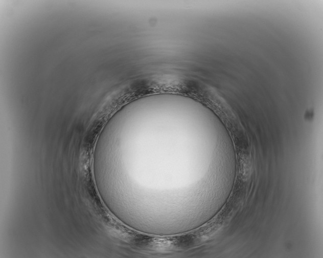 X0000089370701200706221222