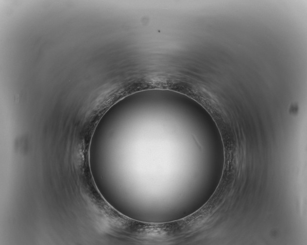 X0000089370702200706221222