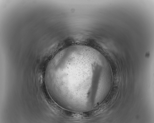X0000089370703200706221222