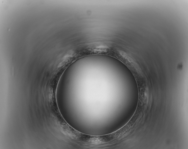 X0000089370704200706221222
