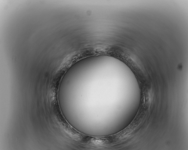 X0000089370706200706221222
