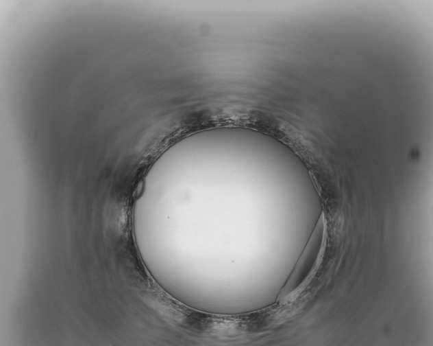 X0000089370709200706221222