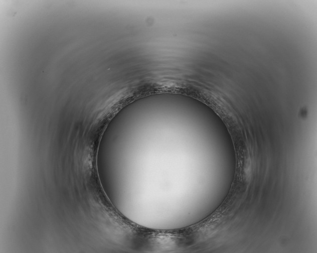 X0000089370710200706221222