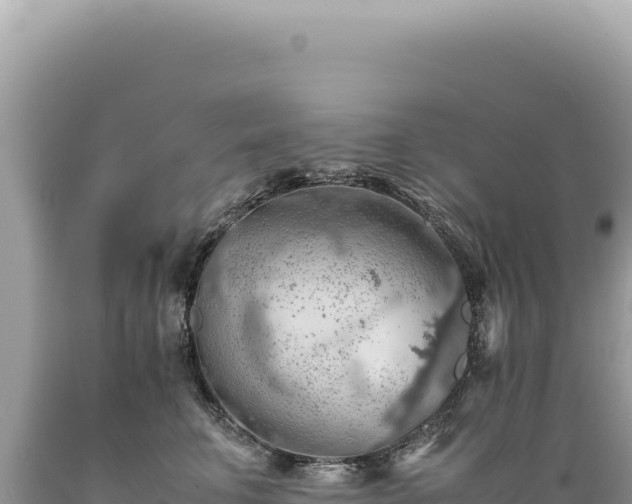 X0000089370711200706221221