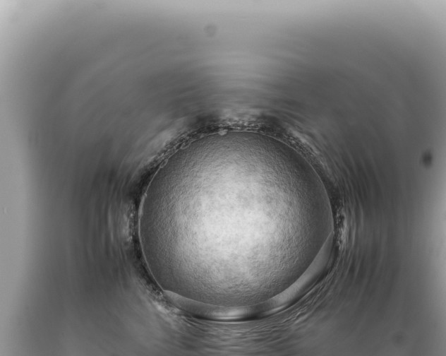 X0000089370712200706221221