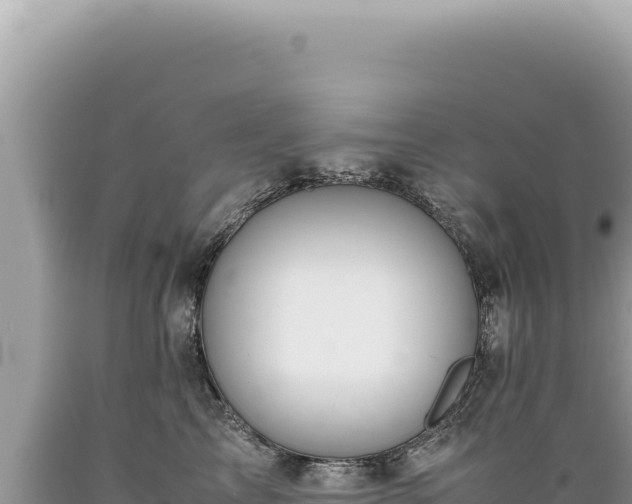 X0000089370713200706221221