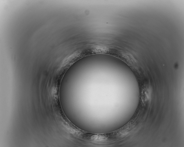 X0000089370714200706221221