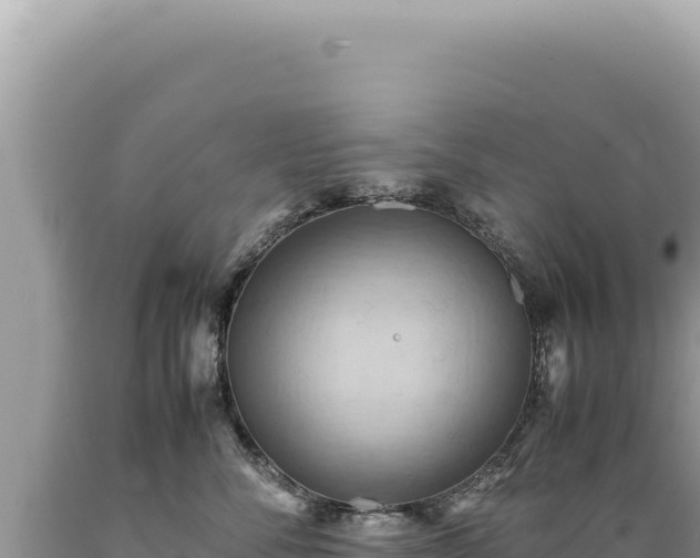 X0000089370716200706221221