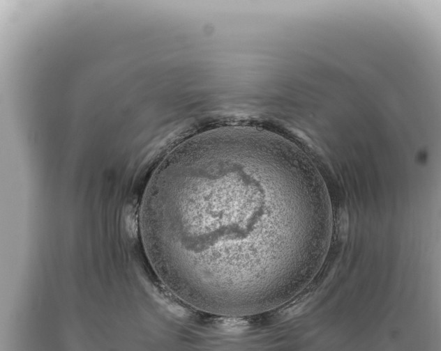 X0000089370719200706221221
