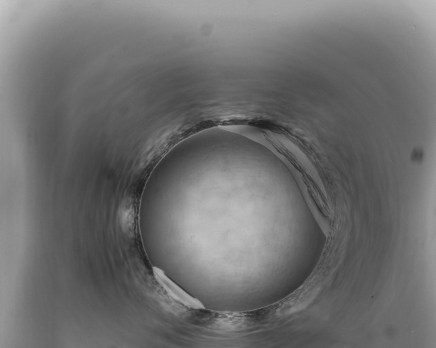X0000089370720200706221221