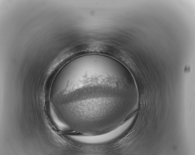 X0000089370722200706221221
