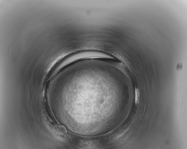 X0000089370723200706221221