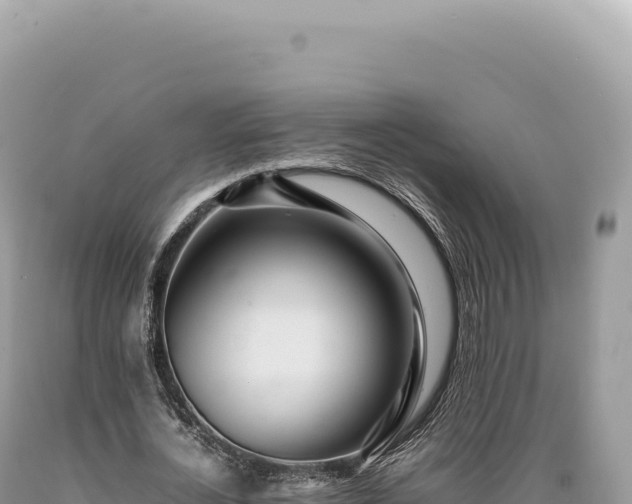 X0000089370724200706221221