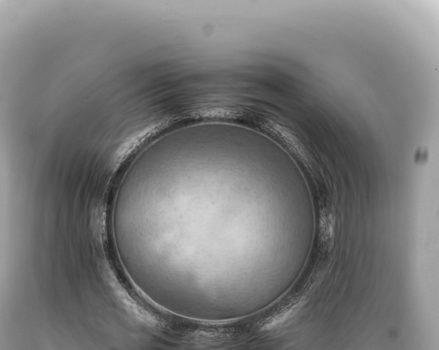 X0000089370725200706221221