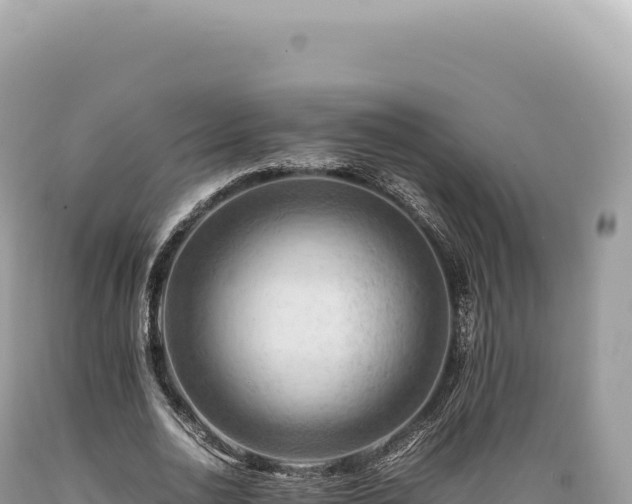 X0000089370726200706221221