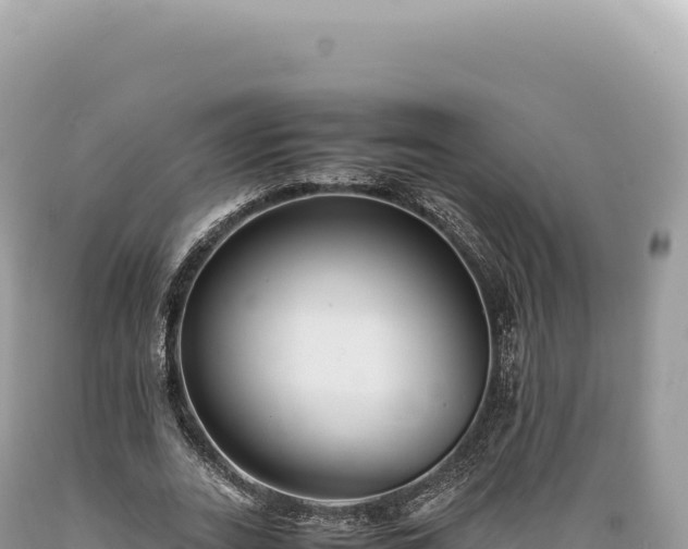X0000089370727200706221221