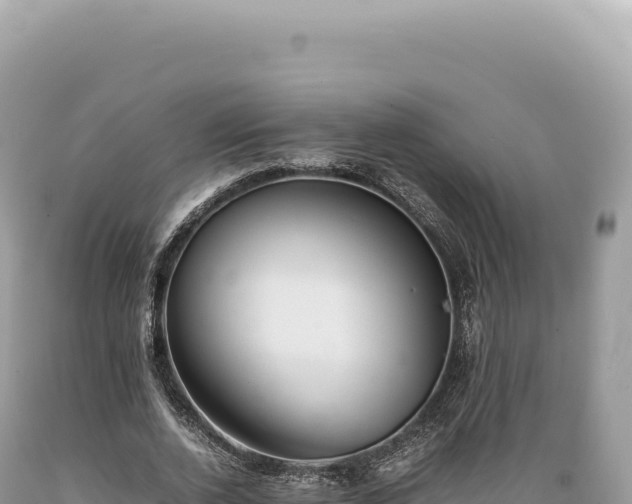 X0000089370728200706221221