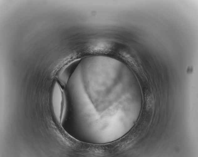 X0000089370729200706221221