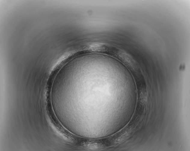 X0000089370730200706221221