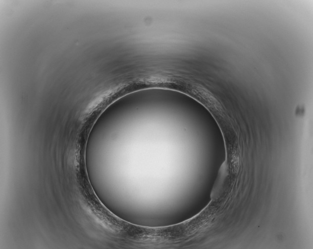 X0000089370732200706221221