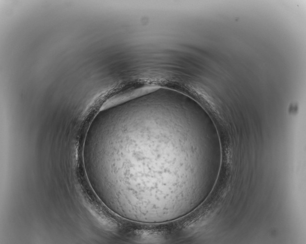 X0000089370733200706221221