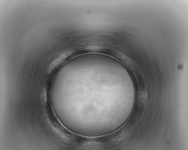 X0000089370734200706221221